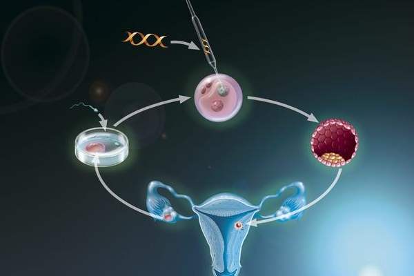长春试管移植胚胎数量越多越好吗？ 