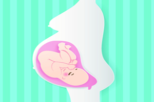 长春胚胎移植后需要注意什么